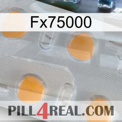 Fx75000 24
